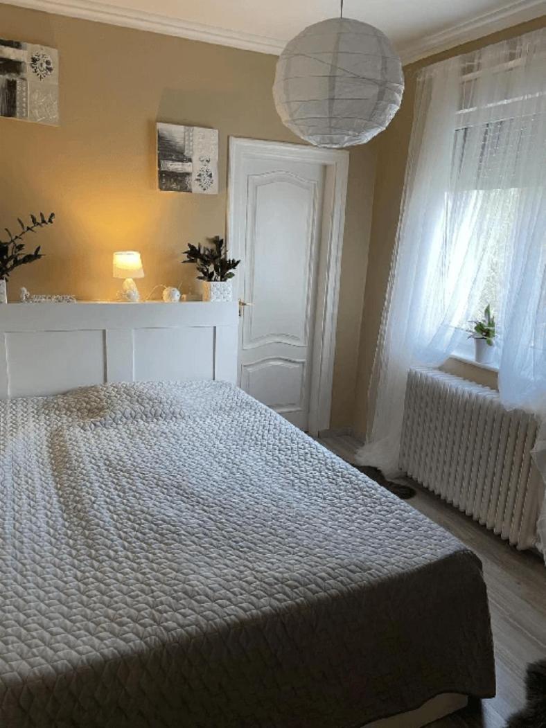 Pava Panzio Bed & Breakfast Soltvadkert Bagian luar foto